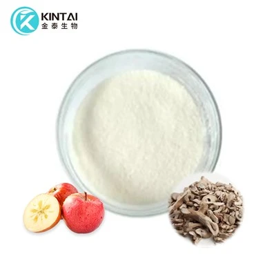 תמצית תפוח תמצית תמצית אבקת פלורידזין